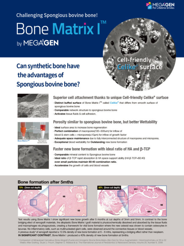 Challenging Spongious bovine bone! Bone Matrix I